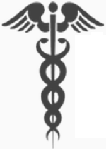 Antonelli Medical and Professional Institute Logo