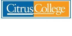 University of Connecticut-Stamford Logo