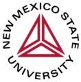 National American University-Centennial Logo