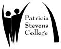 Stevens-The Institute of Business & Arts Logo