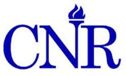 The College of New Rochelle Logo