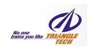 Triangle Tech Inc-Pittsburgh Logo