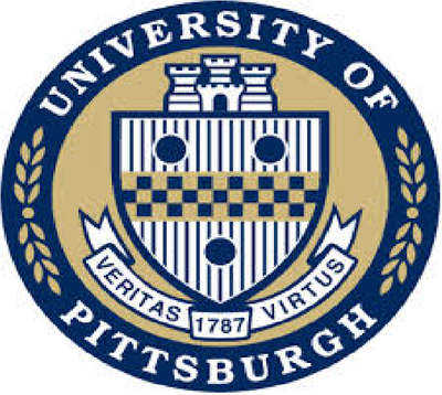 The University of Texas at Arlington Logo