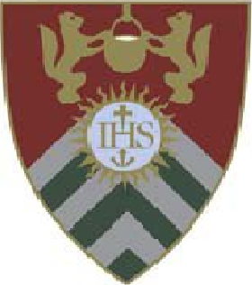 Rasmussen University-Minnesota Logo