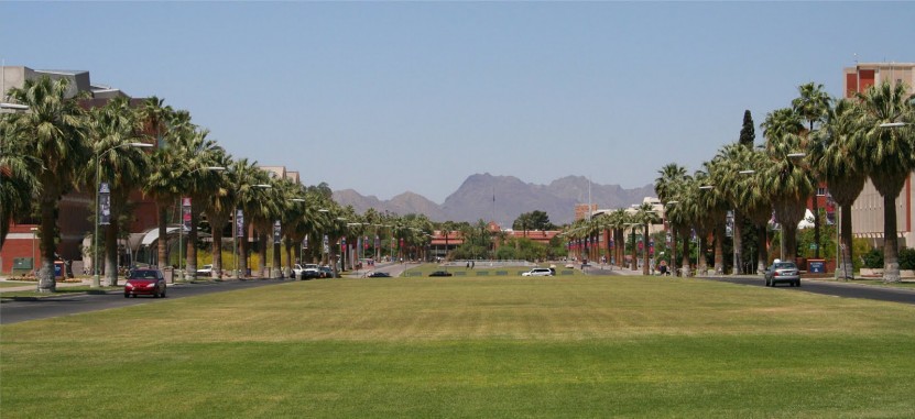 University Of Arizona South