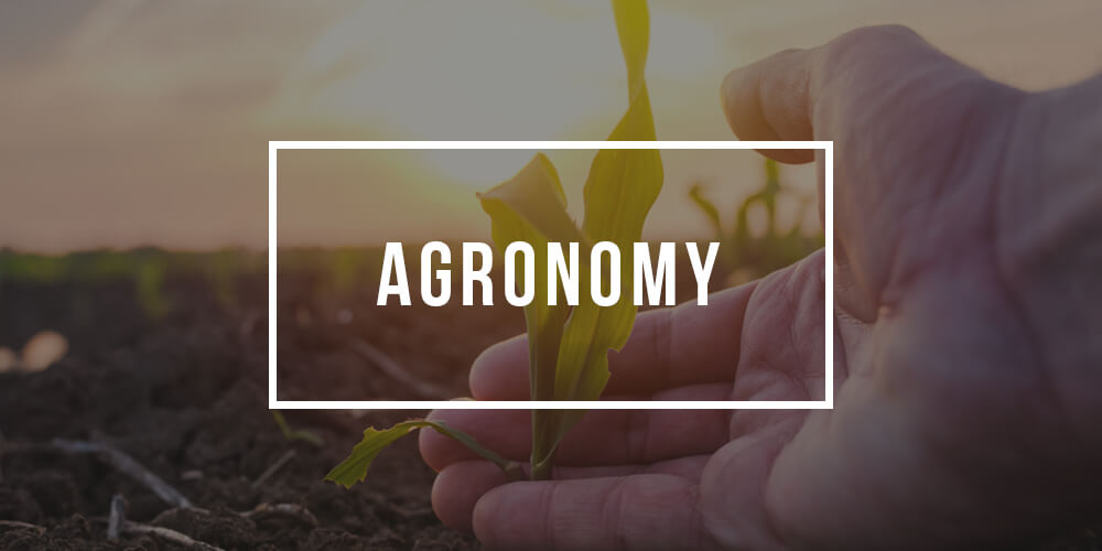 Major in Agronomy