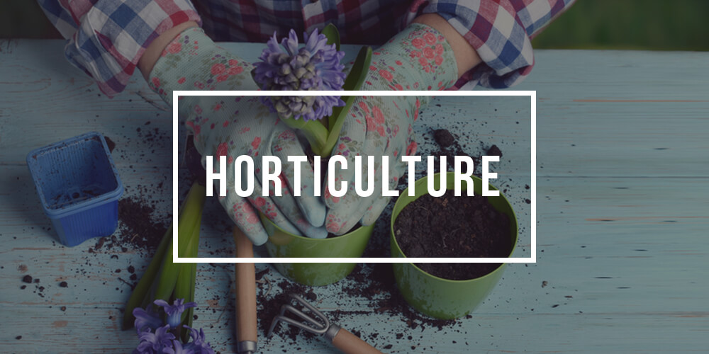 Major in Horticulture