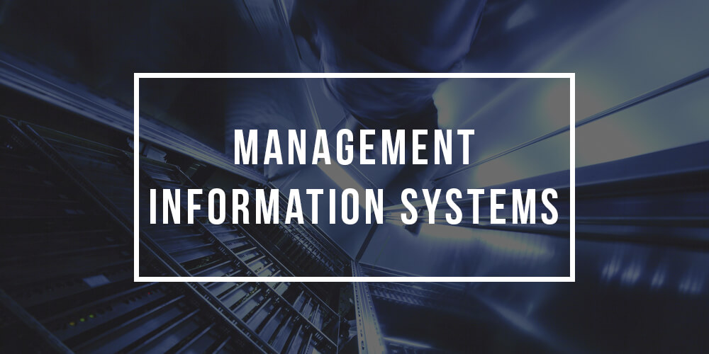 Major in Management Information Systems