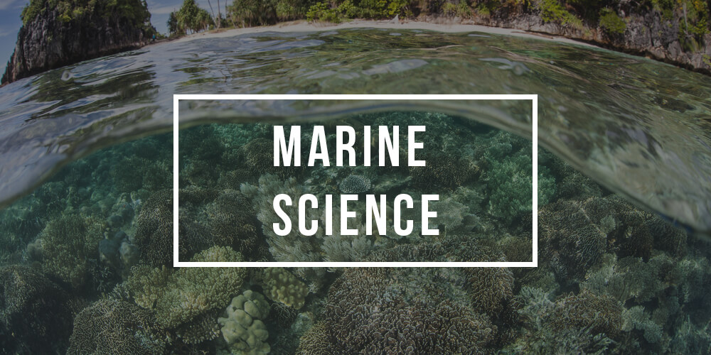 Major in Marine Science