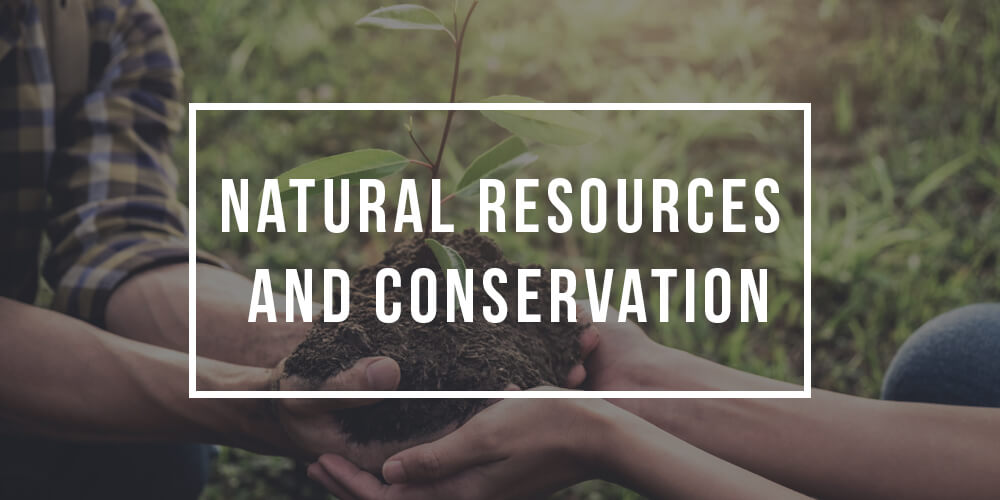 Major in Natural Resources and Conservation