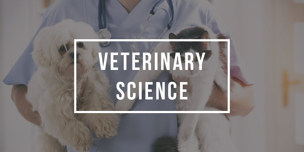Major in Veterinary Science