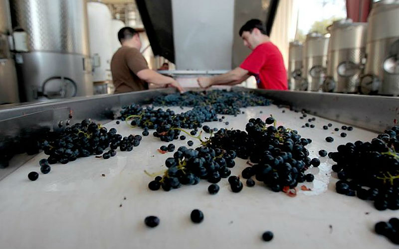 Schools With Degrees For Brewing & Winemaking