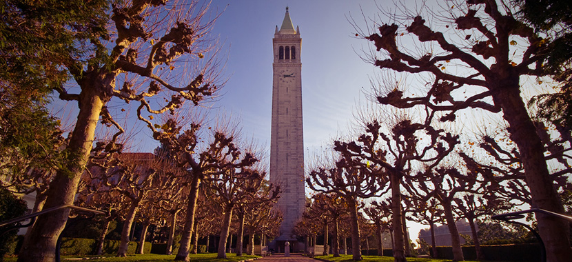 essays that got into uc berkeley