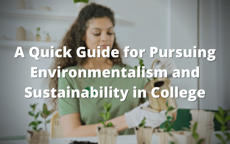 A Quick Guide for Pursuing Environmentalism and Sustainability in