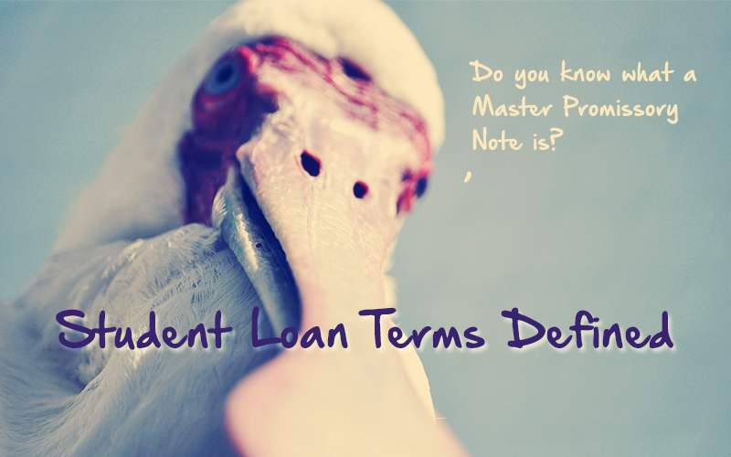 Student Loan Terms You Need To Know