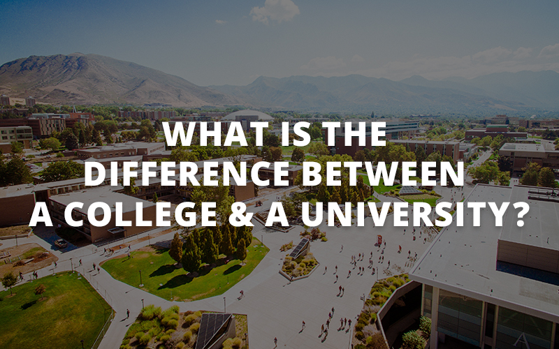 What Is The Difference Between A College And A University Plexuss