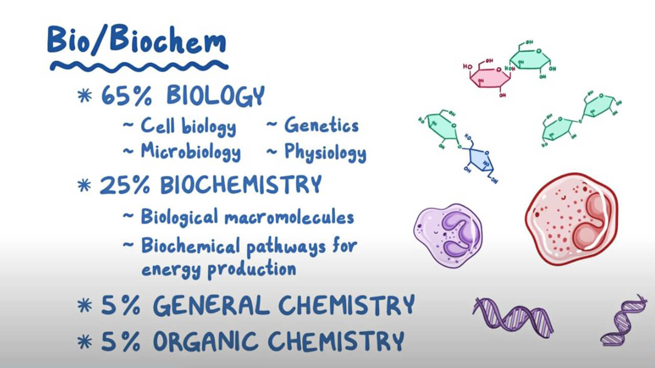 bio/biochem mcat quizlet