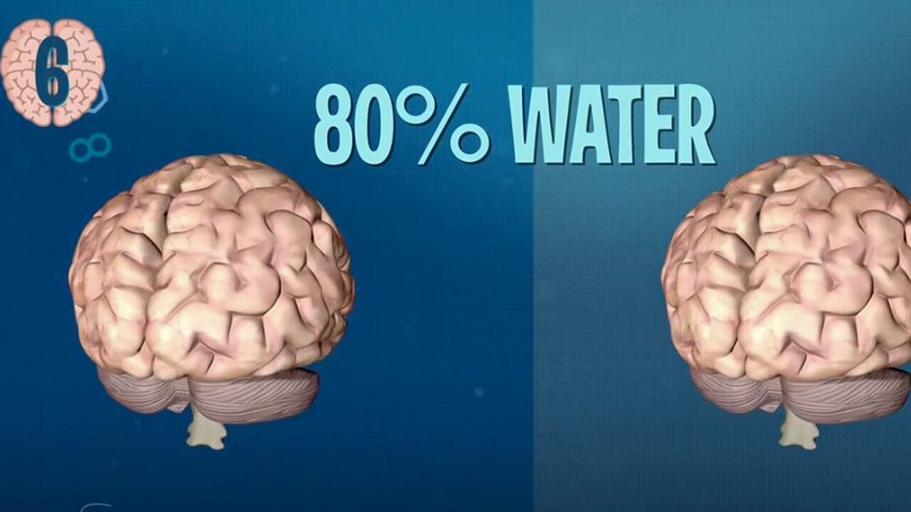 brain dehydration