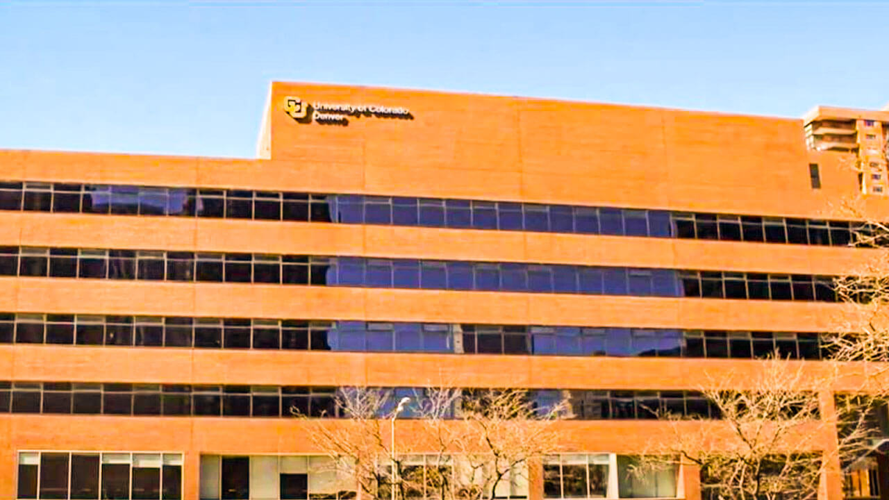 Colorado State University graduate Programs
