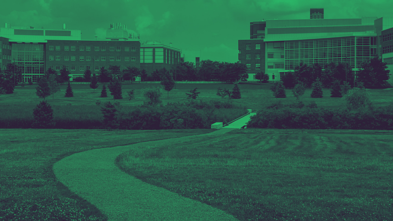 How I Got Into College Penn State University Plexuss