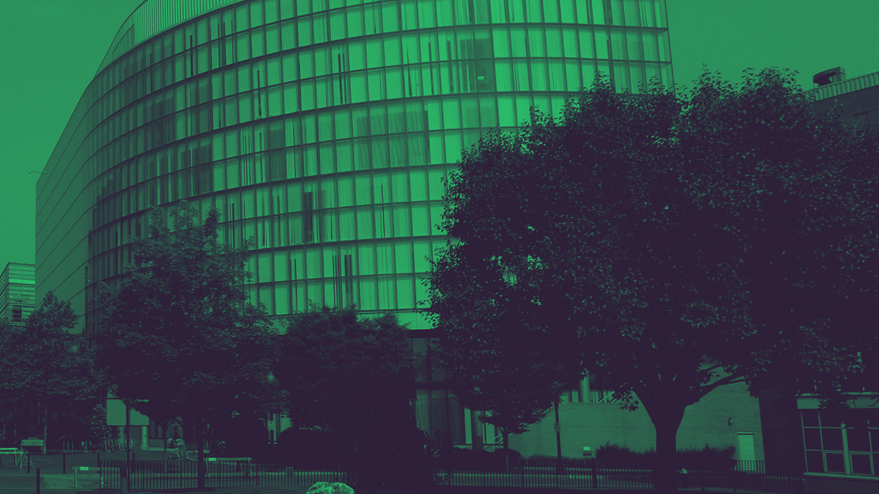 Common Application Mistake #3: At Northeastern: Admission Tips | Plexuss