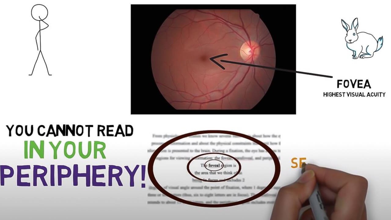 peripheral vision reading exercises