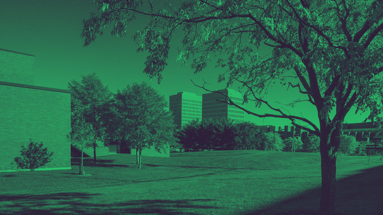 why-i-chose-the-university-of-minnesota-my-grades-test-score
